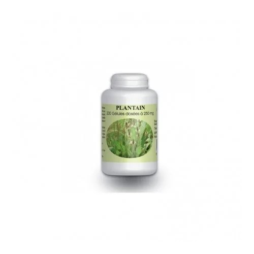 GPH DIFFUSION PLANTAIN 100 GÉLULES