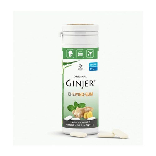 GINJER CHEWING-GUM GINGEMBRE MENTHE 30 G